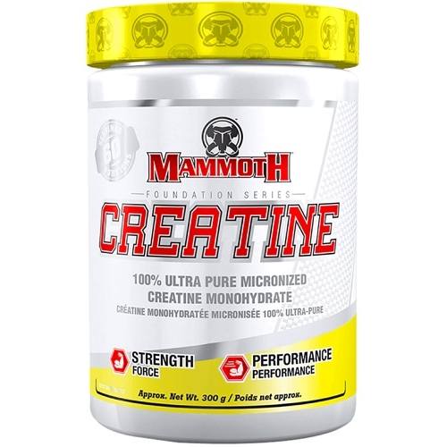 Mammoth Creatine 300gr