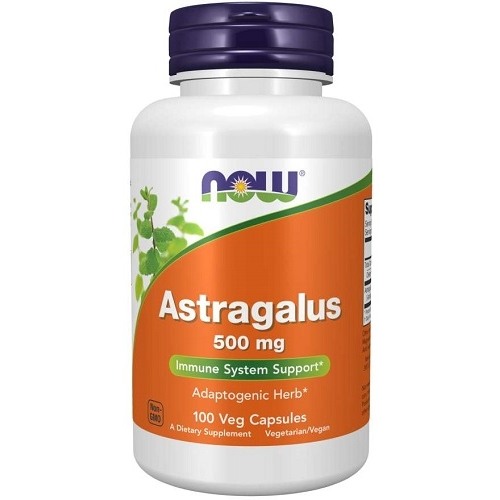 Astragalus 500mg 100v-caps